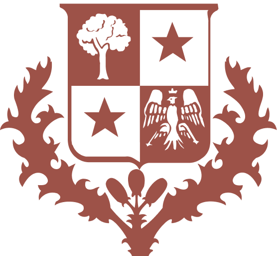 Chaussettes hebdomadaires Bobby